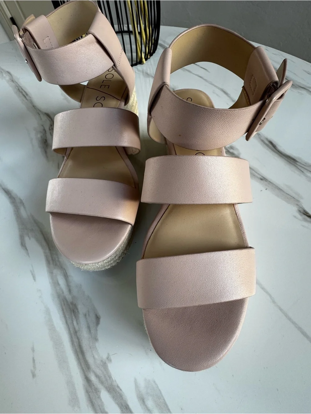 Sole Society Blush Platform Espadrille Sandals